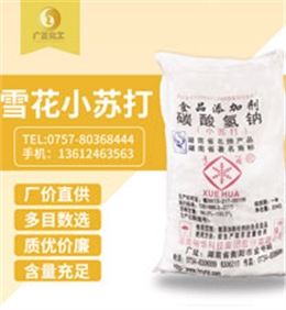 雪花牌小(xiao)蘇打